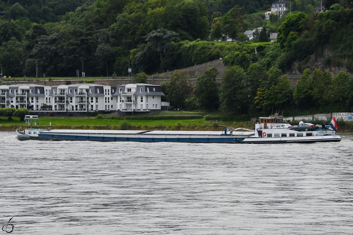 Im Bild das Gütermotorschiff VARIATIE (ENI: 03110605), welches Anfang August 2021 auf dem Rhein bei Remagen unterwegs war.