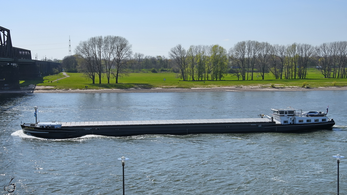 Im Bild das Gütermotorschiff VICTUS (ENI: 02331961), welches Mitte April 2021 auf dem Rhein unterwegs war.