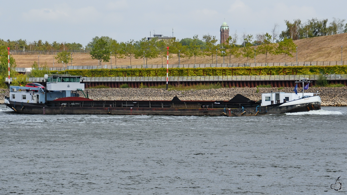 Im Bild das mit Kohle beladene Gütermotorschiff AURUM (ENI: 04400070), welches im August 2022 auf dem Rhein bei Duisburg unterwegs war.