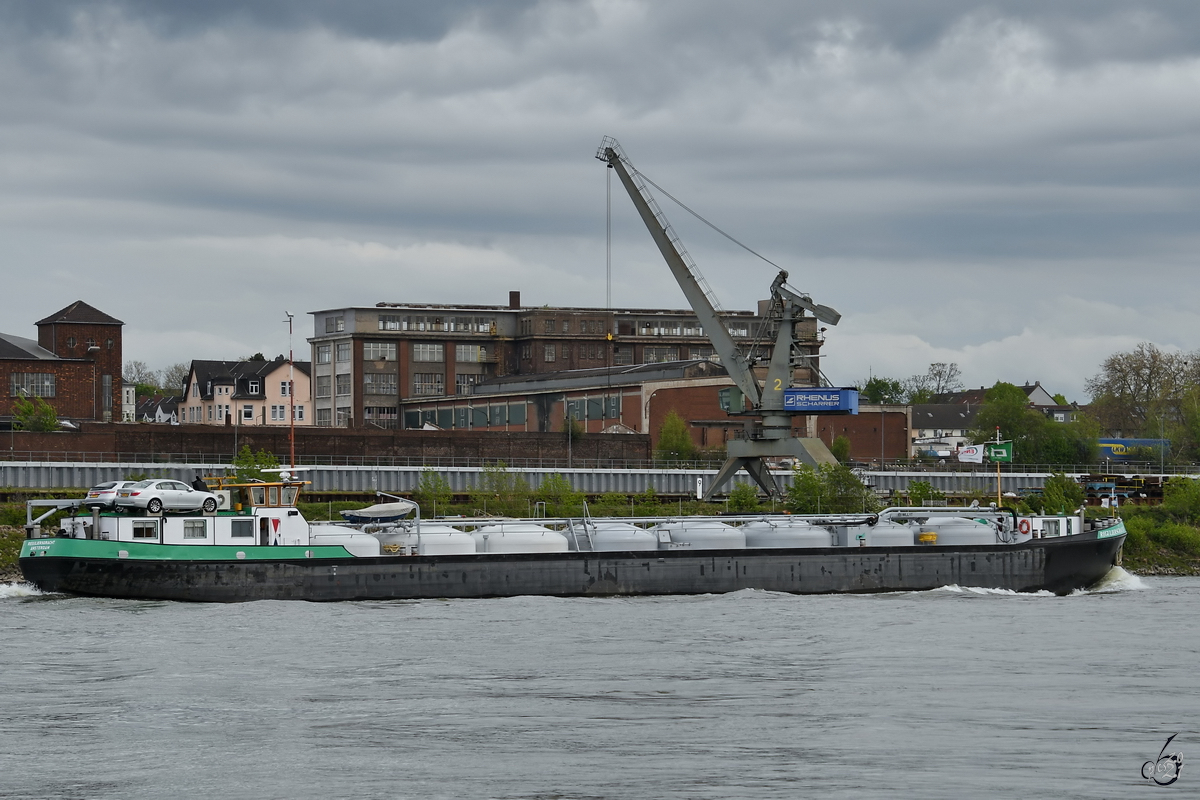 Im Bild der Pulvertanker REGULIERSGRACHT (ENI: 02312401), welcher Anfang Mai 2021 auf dem Rhein bei Duisburg unterwegs war.