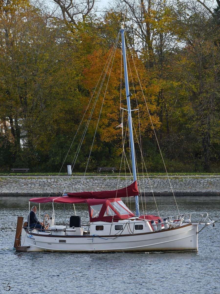 Im Bild das Segelboot SILBERMÖVE, welches Anfang November 2025 die Trave befuhr. (Travemünde)