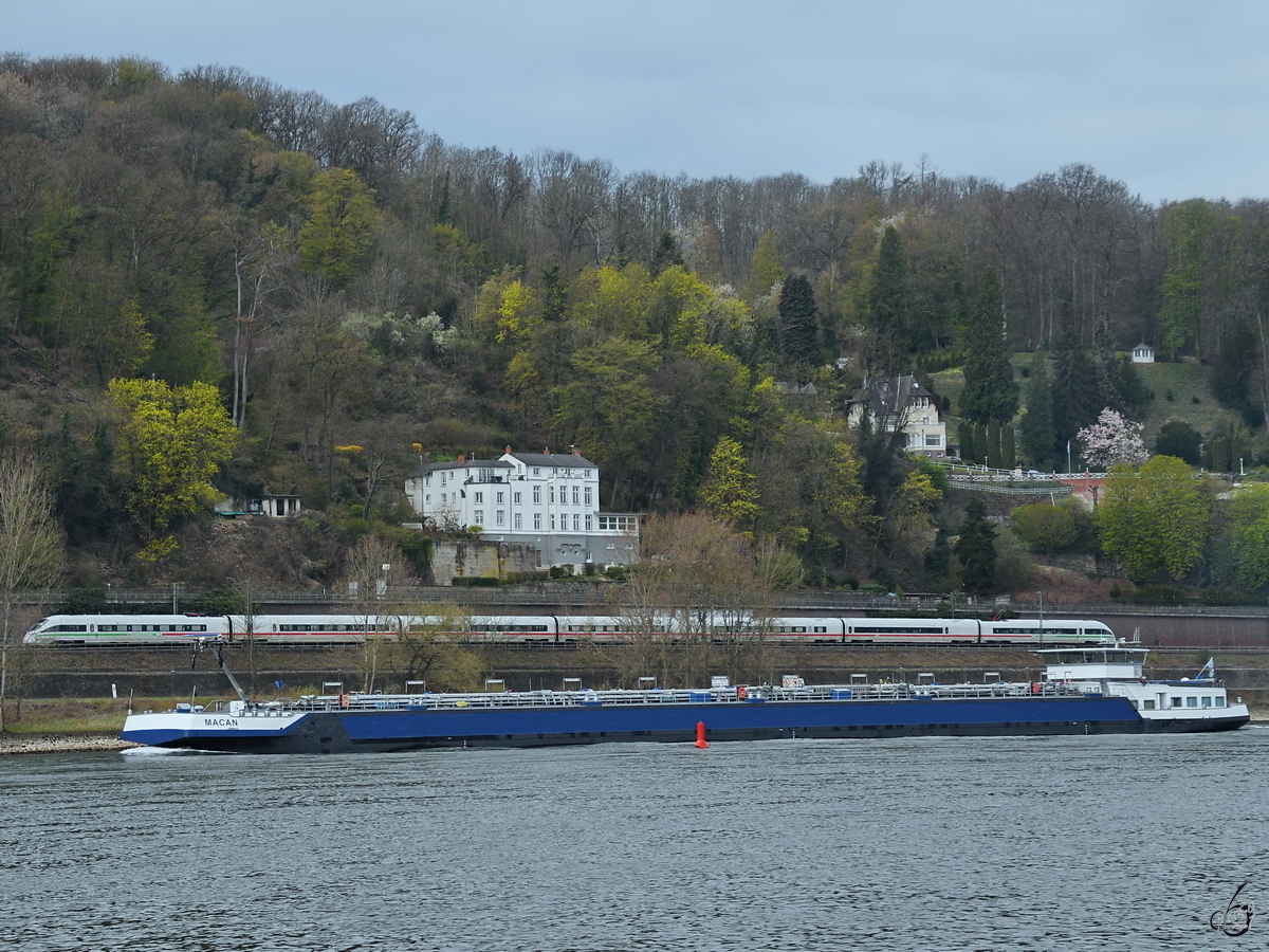 Im Bild das Tankmotorschiff MACAN (ENI: 02326056), welches hier Anfang April 2021 auf dem Rhein unterwegs ist.