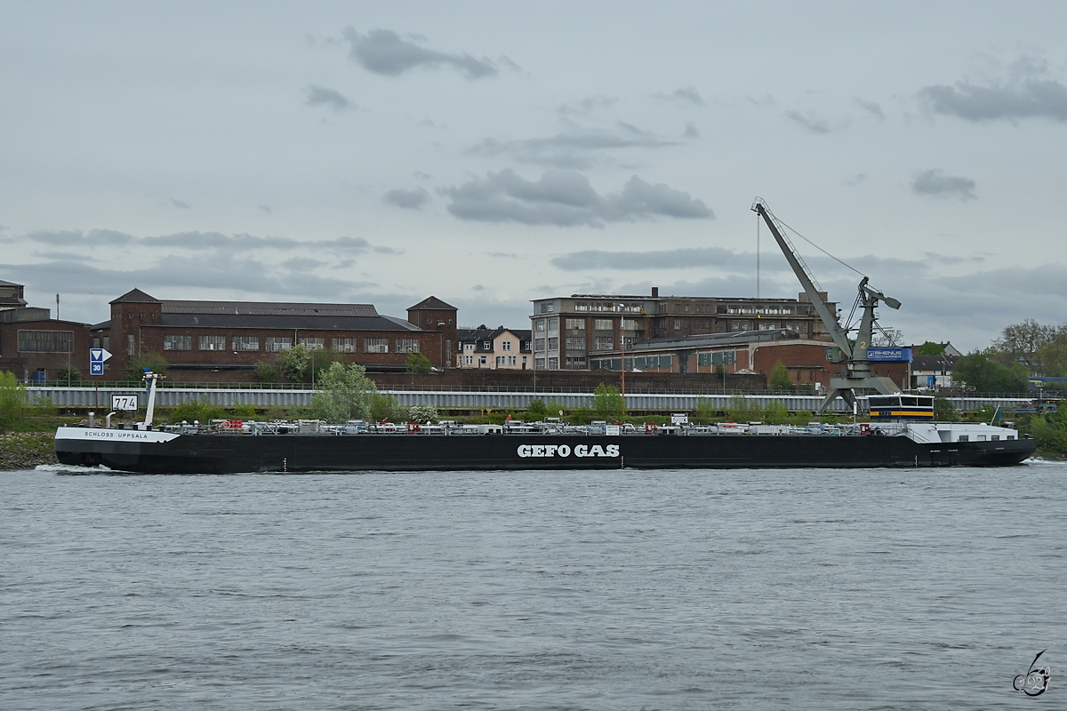 Im Bild das Tankmotorschiff SCHLOSS UPPSALA (ENI: 04813710), welches Anfang Mai 2021 auf dem Rhein bei Duisburg unterwegs war.