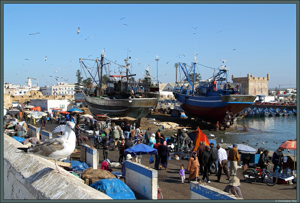 Im Hafen von Essaouira verkaufen die Händler frisch gefangenen Fisch. Im Hintergrund die alten Festungsanlagen des Hafens. (21.11.2015)