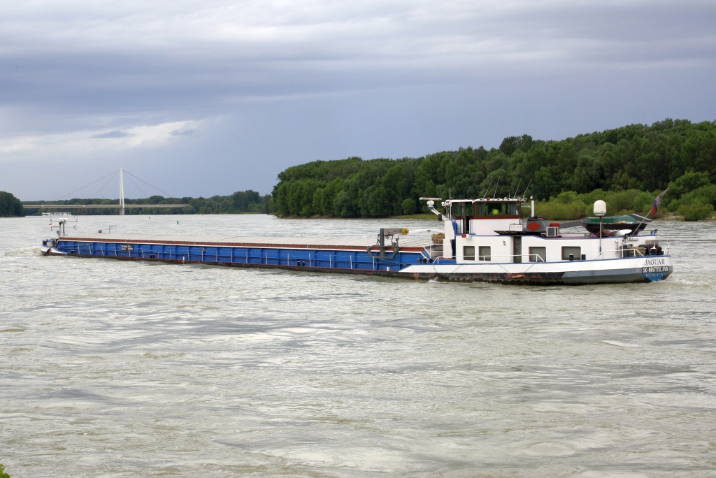  Jaguar  (Baujahr 1962 - C. Pape, Rönnebeck / Bremen - Heimathafen Bratislava, Slovakei) MMSI 267210242 am 22.Juni 2024 auf der Donau bei Hainburg.