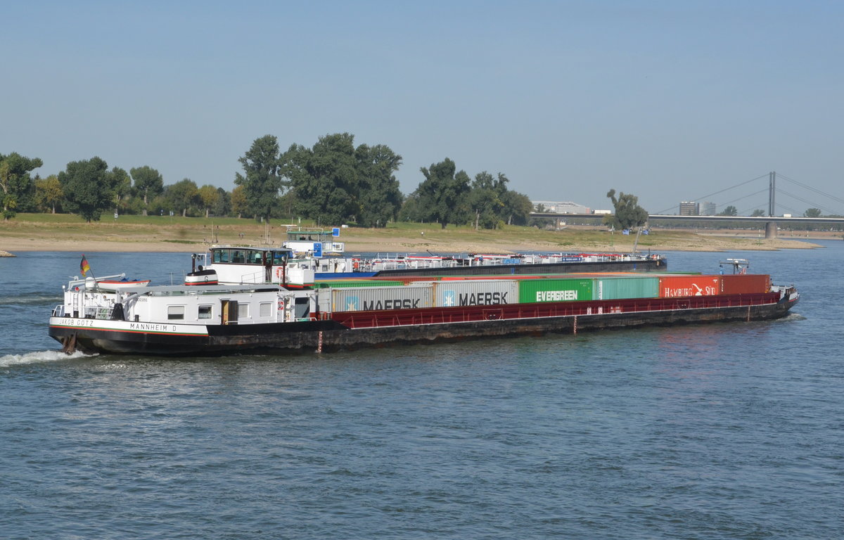Jakob Götz Container-Binnenschiff  Heimathafen: Mannheim in Düsseldorf auf dem Rhein in Tahlfahrt  03.10.16.