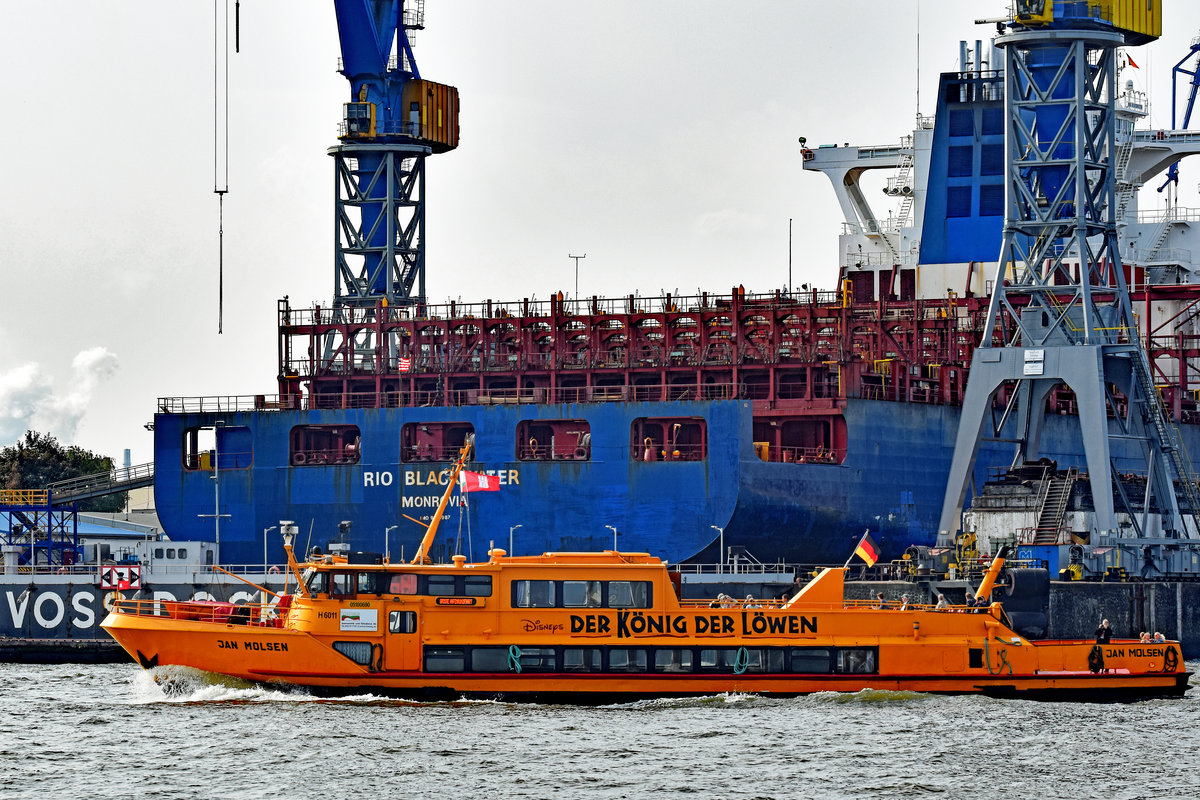 JAN MOLSEN am 3.9.2018 im Hafen von Hamburg