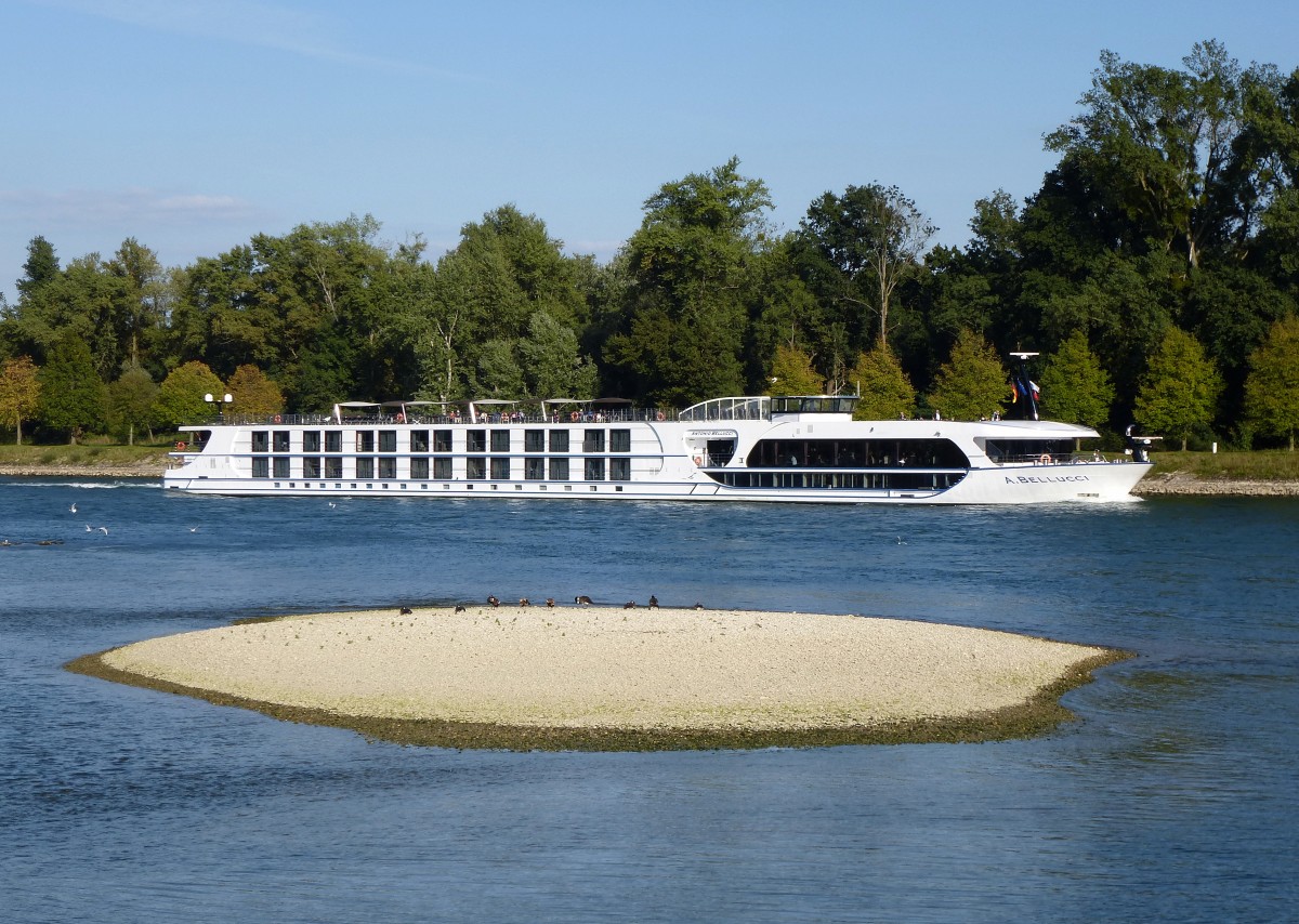 KFGS  A.Bellucci , Schweiz, bei Plittersdorf rheinaufwrts, Baujahr 2011, L=110m, Sept.2015