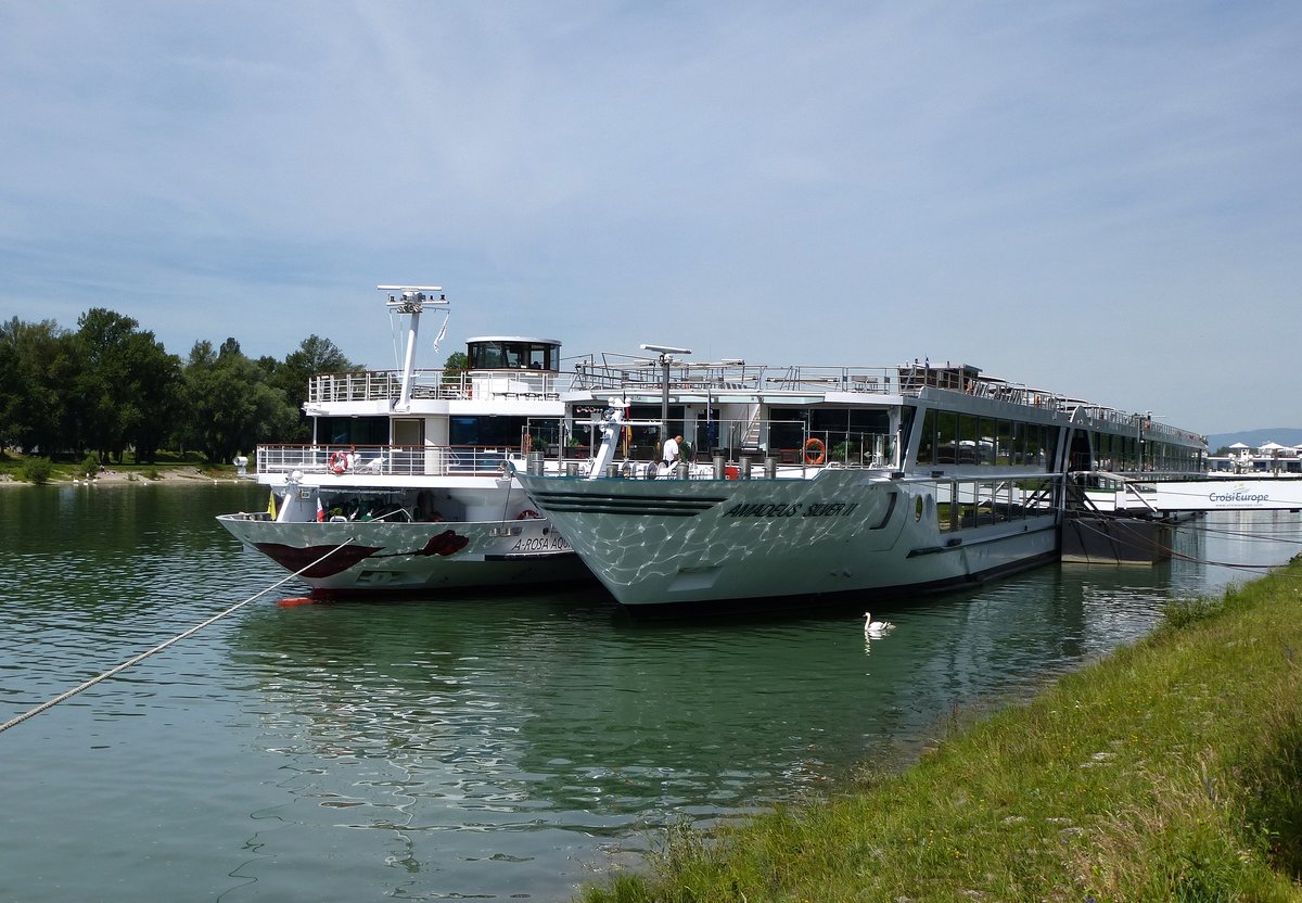 KFGS  AROSA AQUA  und KFGS  AMADEUS SILVER II  am Anleger in Breisach am Rhein, Juni 2017