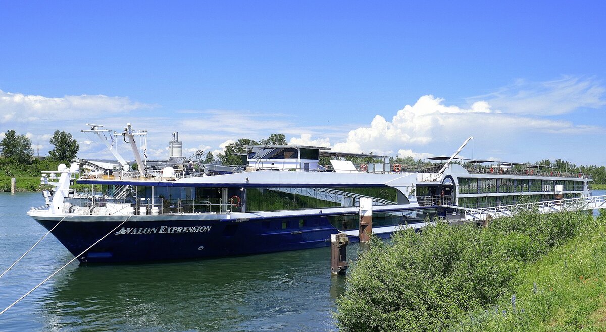 KFGS Avalon Expression, ankert in Breisach am Rhein, L=135m, 168 Passagiere, 2x1014PS, Baujahr 2013, Heimathafen Hamburg, Juni 2024