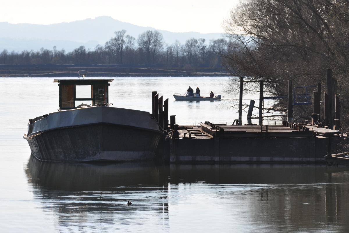 Kiesschiff in Hard, Kieshafen = Neuer Industriehafen (Bodensee, Vorarlberg) (2016-03-26)