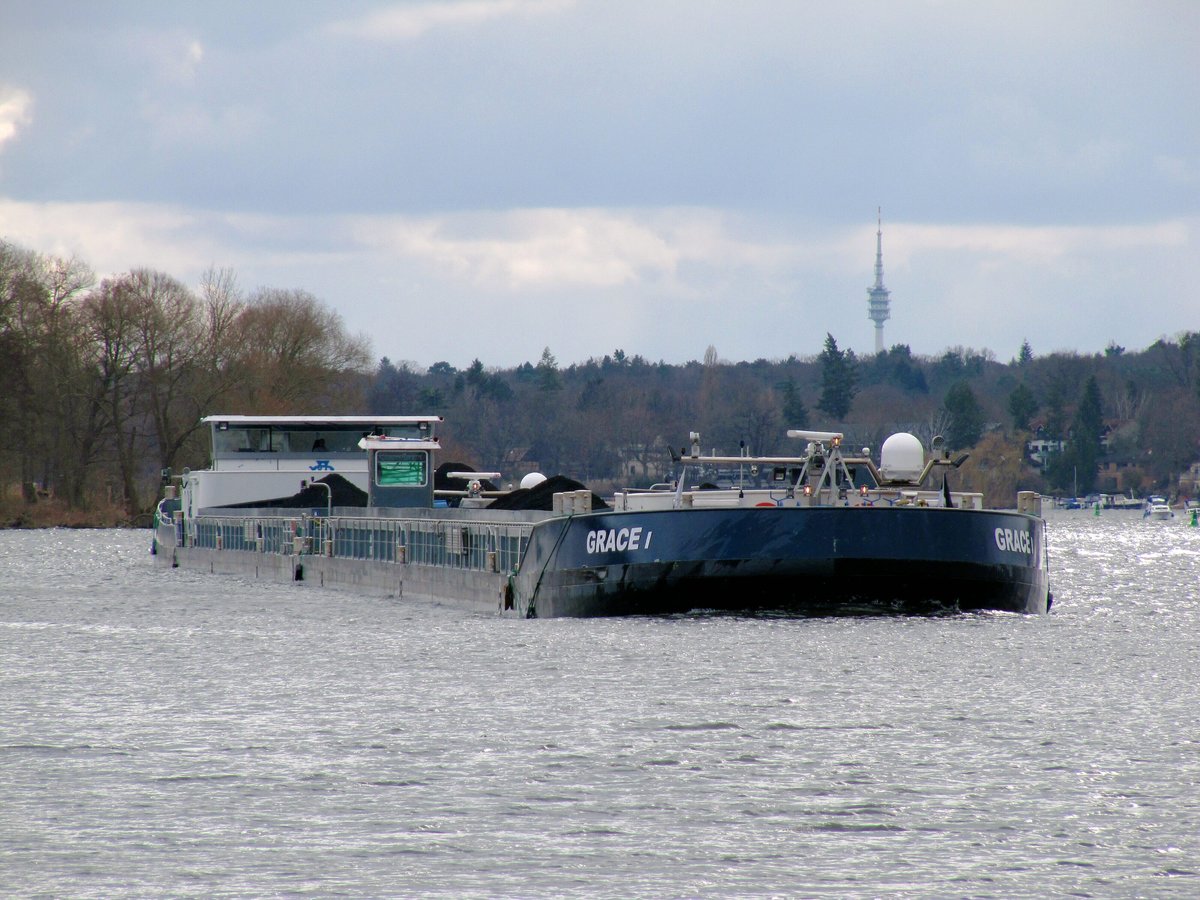 Koppelverband  GSL  GRACE I  (02338756 , 86 x 9,60m) &  SGMS  GRACE II  (02338757 , 86 x 9,60m) am 19.03.2021 auf der  HAVEL  in Berlin zu Berg vor dem Pichelsdorfer Gmünd.  