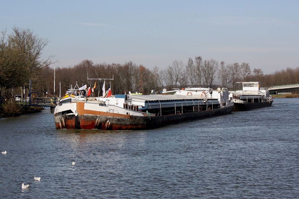 Koppelverband WESTSTRAND (ENI:04030830) L.67 m B.9,50 m T 870 Baujahr 1961 Flagge Deutschland & LENE-L (ENI:04030930) auf dem DEK zu Berg am 01.03.2023 am Dattelner Meer.