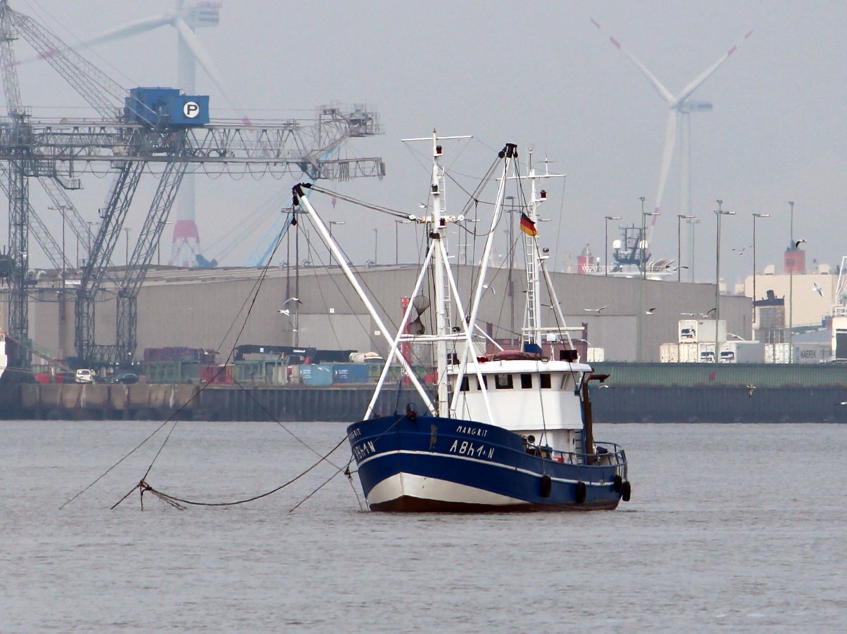 Krabbenkutter Margrit am 16.10.2013 vor Bremerhaven, 25m x 5,5m, Tiefgang 3m.