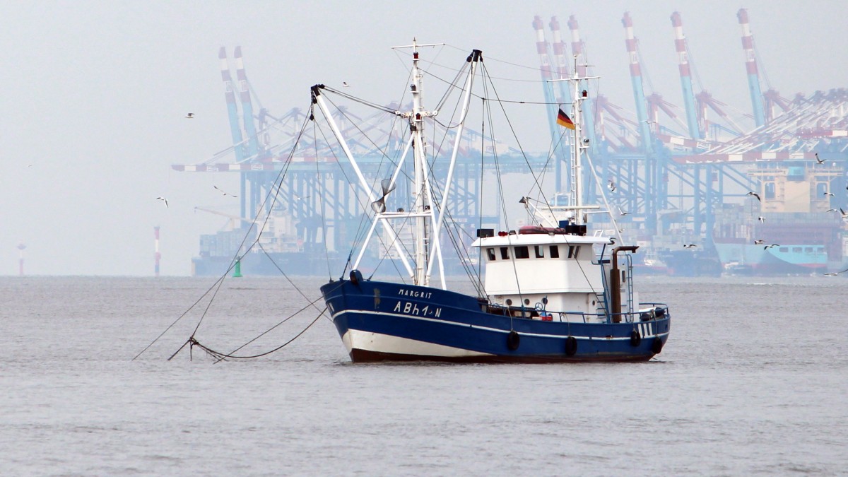 Krabbenkutter Margrit am 16.10.2013 vor Bremerhaven. 1948 gebaut bei Kremer & Sohn in Hamburg. 1949 reg. als BL 1  Pascal . Heute reg. als ABh1-N  Margrit  fr Ulrich Willig in Bremerhaven.