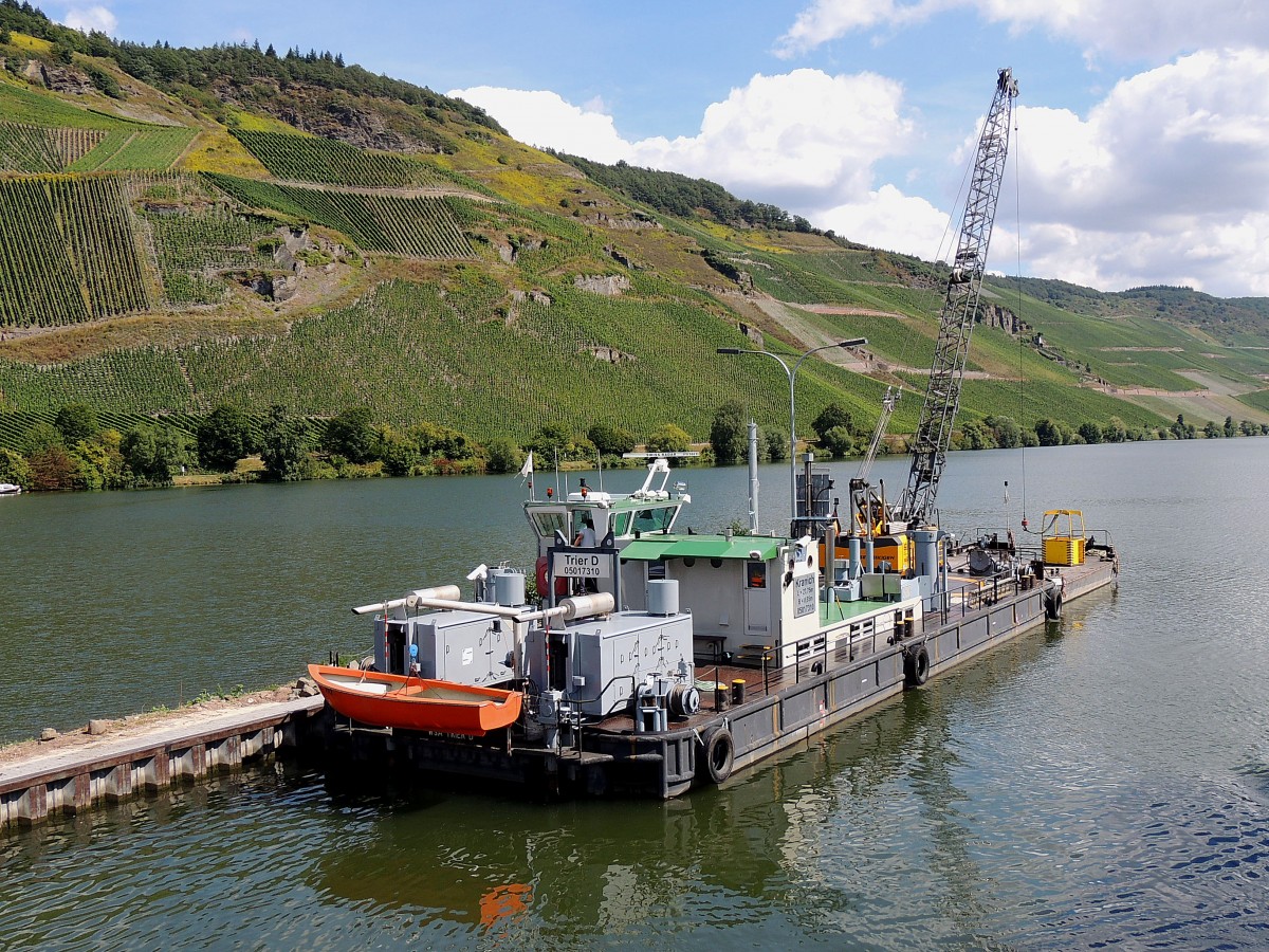 KRANICH(05017310; L=27,75; B=8,65mtr)führt im Bereich der Schleuse Zeltingen Kranarbeiten durch; 130827