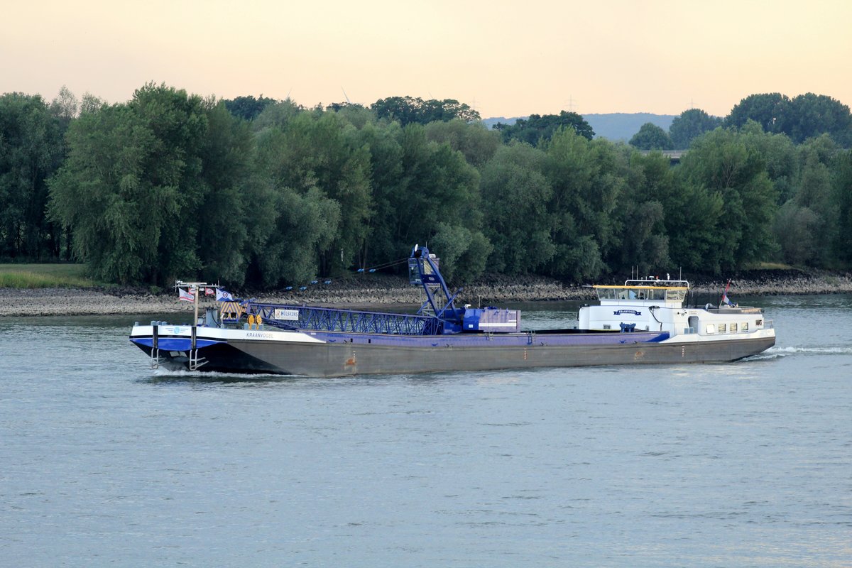 Kranschiff GMS Kraanvogel (02328356 , 86 x 11,45m) am 06.07.2017 bei Rees auf Rhein-Bergfahrt.