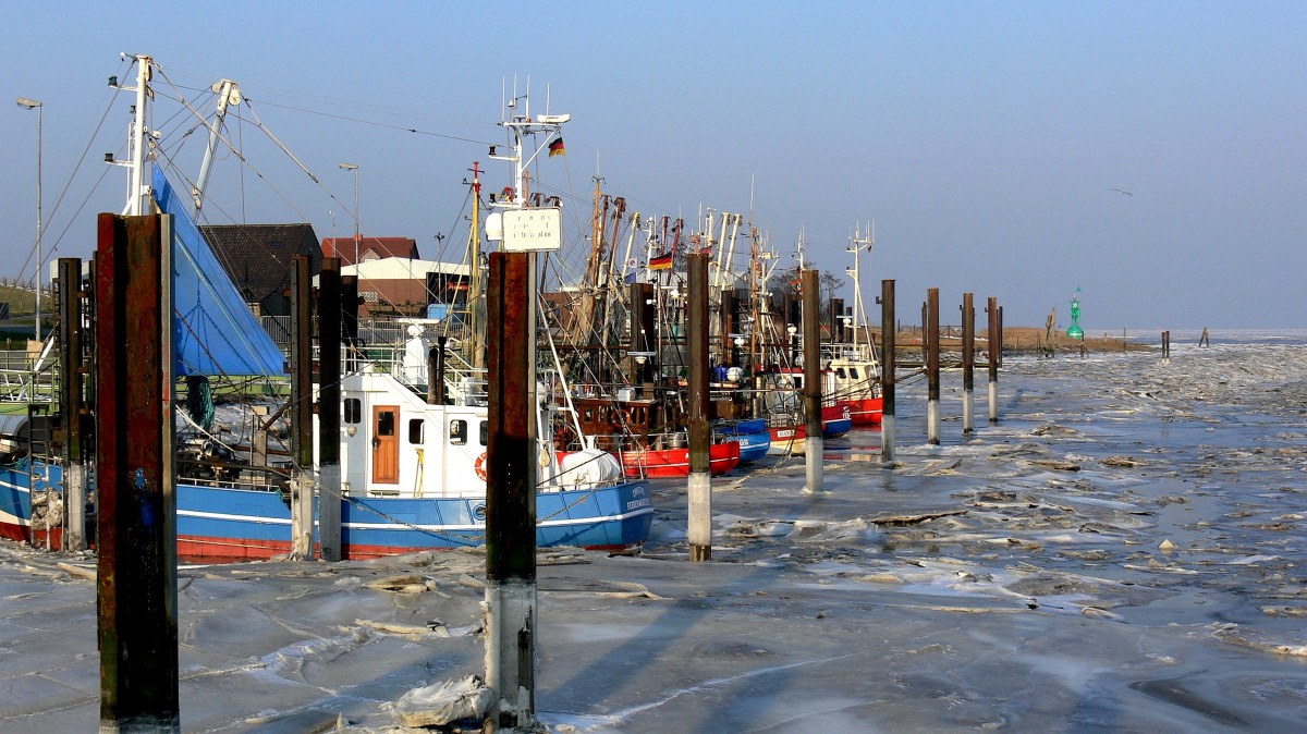 Kutterhafen Fedderwardersiel im Winter, 25.01.2010.