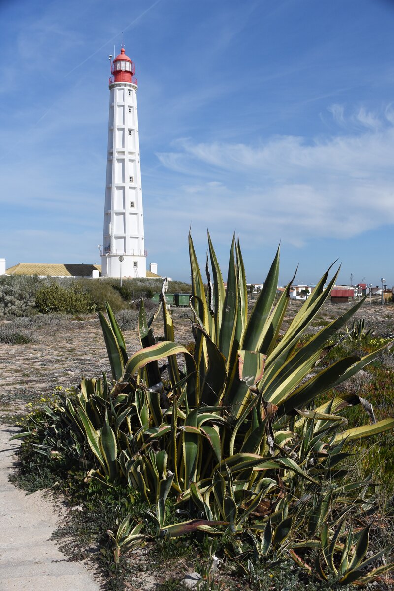Leuchtturm auf der Ilha de Culatra / gesehen in Faro (Distrikt Faro/Portugal), 06.02.2019