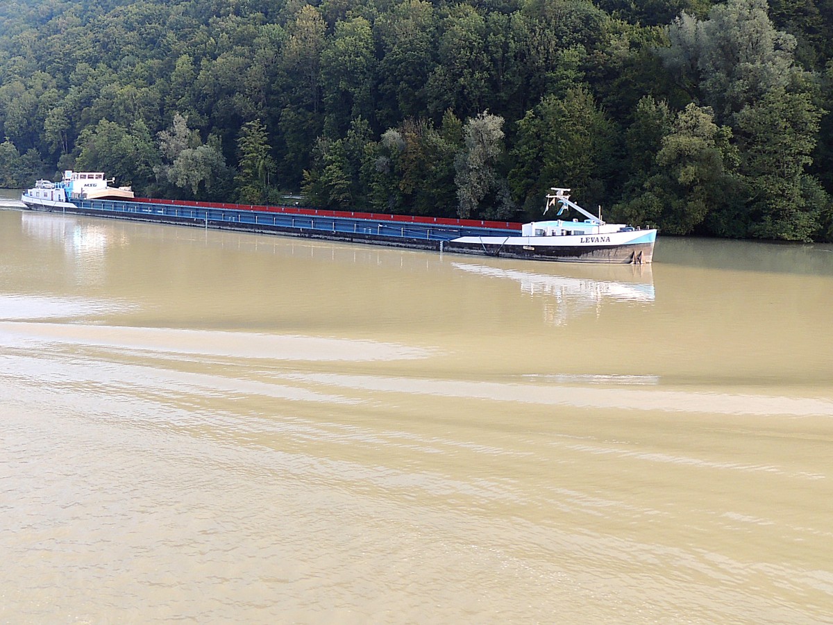 LEVANA(04804330; L=110; B=10,5m; 2587t; Bj.1979)auf der Donau im Bereich der Schleuse Jochenstein; 130831