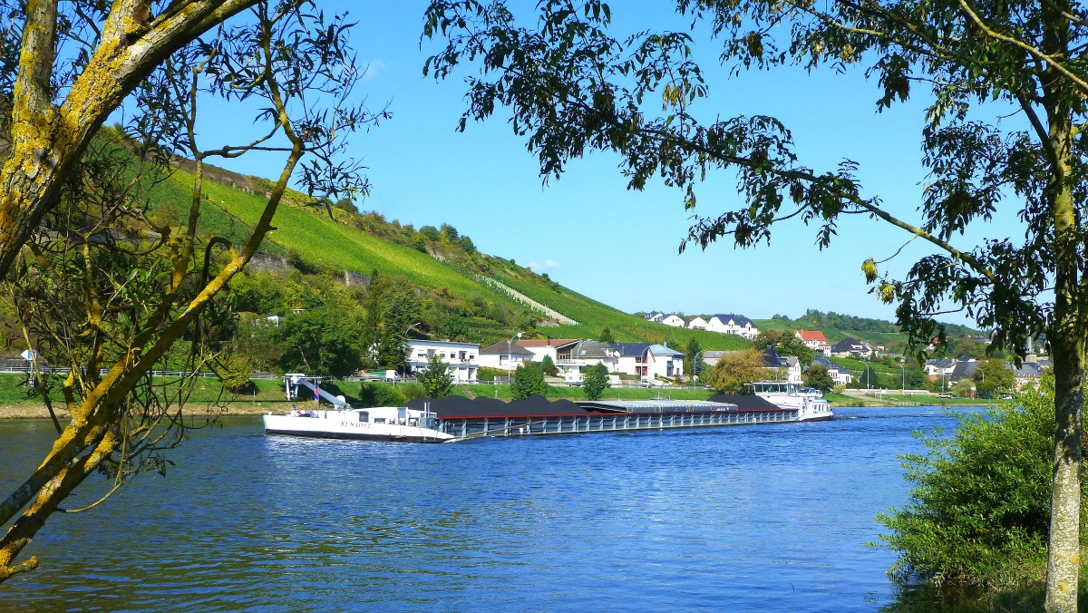 Luxemburg, bei Ehnen (Luxemburg), Mosel, GMS  BENLOVE  fhrt moselaufwrts in Richtung Frankreich, 30.09.2013