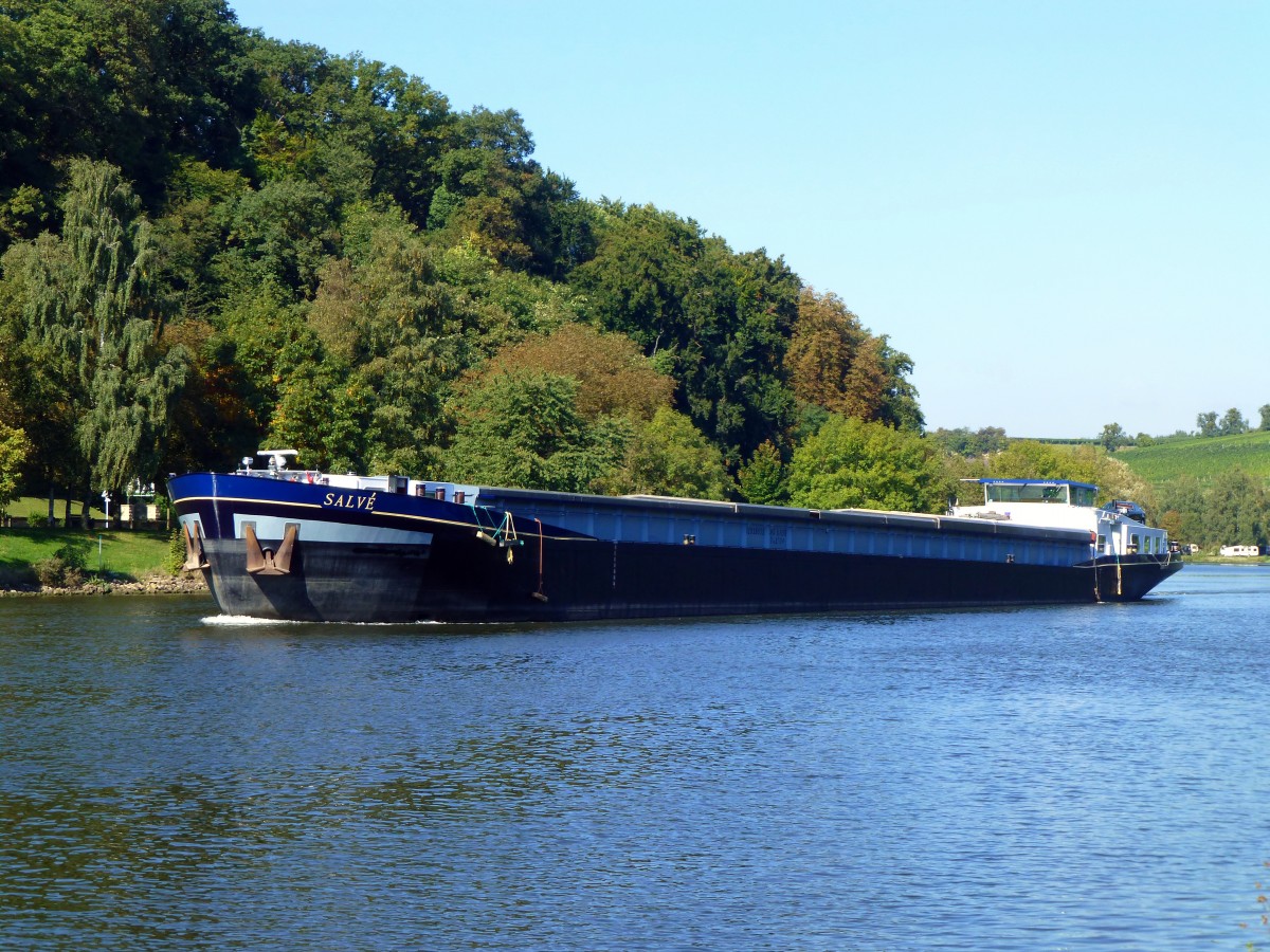 Luxemburg, zwischen Stadtbredimus und Remich (Luxemburg), Mosel, GMS  SALV  fhrt moselaufwrts in Richtung Frankreich, 30.09.2013  