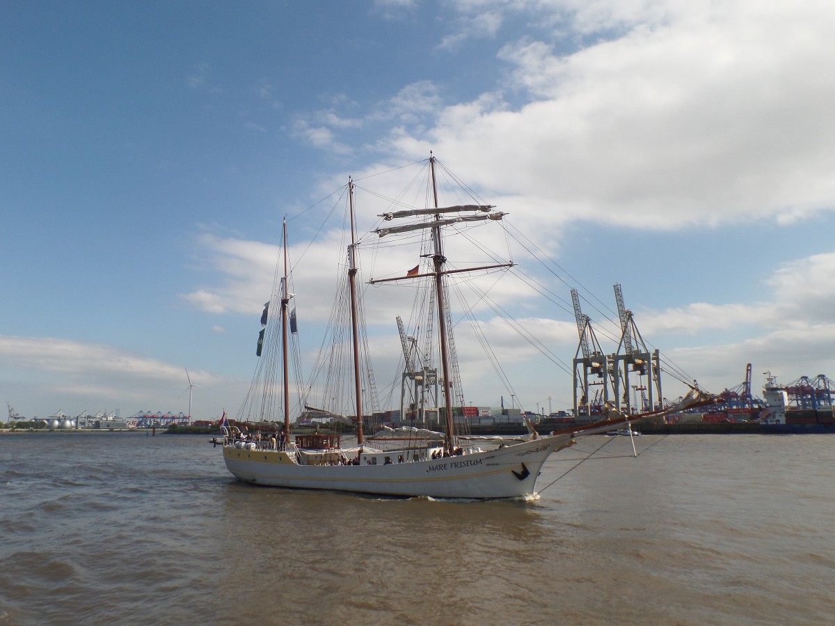 MARE FRISIUM (IMO 5344592) am 6.6.2015, Hamburg auslaufend, Elbe Höhe Övelgönne /
3-Mastmarstoppsegelschoner / BRZ 210 / Lüa 49,5 m, B 6,7 m, Tg 3,3 m / Segelfläche: 634 m², 9 kn / 1 Diesel, Scania, 264 kW, 359 PS, 7 kn  / 90 Tagesgäste, 36 Pass., 12 Kabinen / Eigner: Tall Ship Company,  Flagge: Niederlande, Heimathafen: Harlingen / gebaut 1916 als Logger, 
