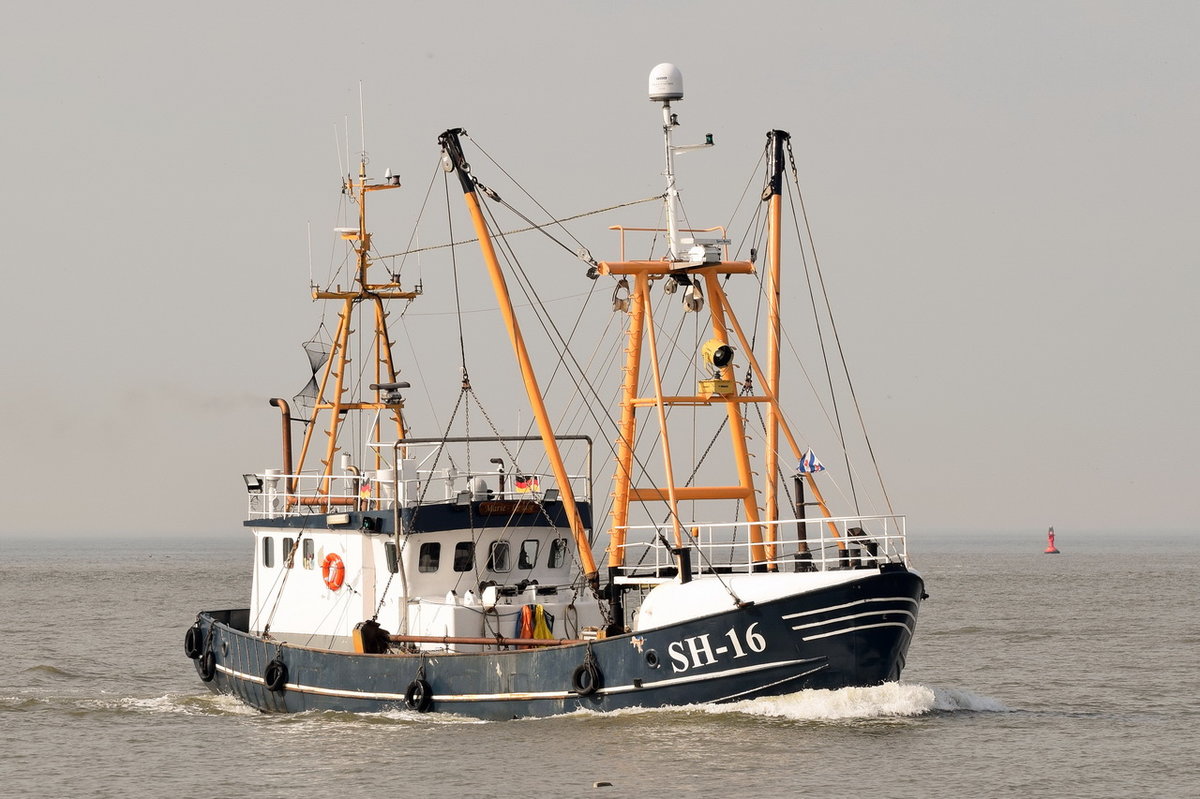 MARIE LOUISE SH-16 , Fischereifahrzeug , MMSI 211588480 , 24 × 6m , 16.05 2017  Cuxhaven