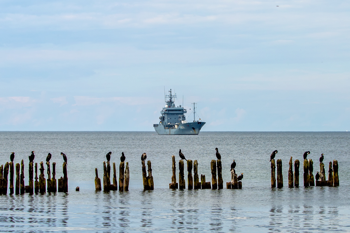 Marine Versorgungsschiff WERRA A514  zwischen Glowe und Kap Arkona mit Kormorane im Vordergrund bei der Gefiederpflege. - 07.06.2020
