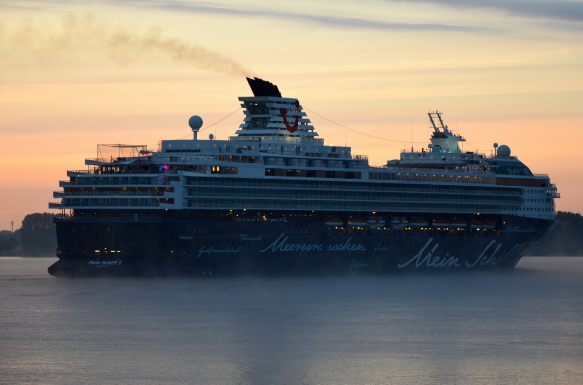 MEIN SCHIFF 1 ; Kreuzfahrtschiff , IMO 9106297 , Baujahr 1996 , 264 x 32 m , 1924 Passagiere , Lühe  17.06.2015