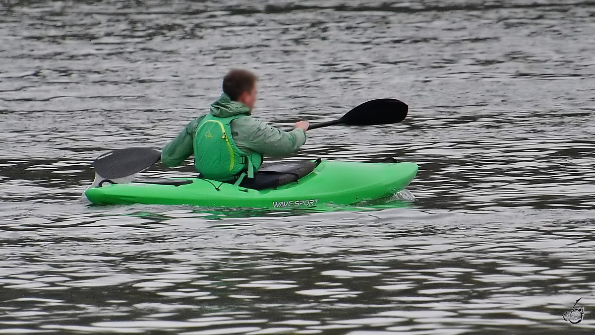 Mit dem Kajak auf dem Rhein unterwegs. (Unkel, April 2021)