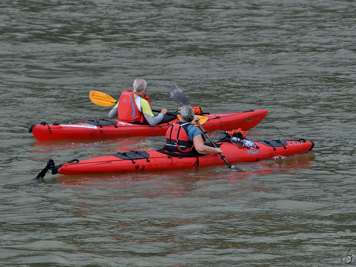 Mit dem Paddelboot auf dem Rhein unterwegs. (Remagen, August 2021)