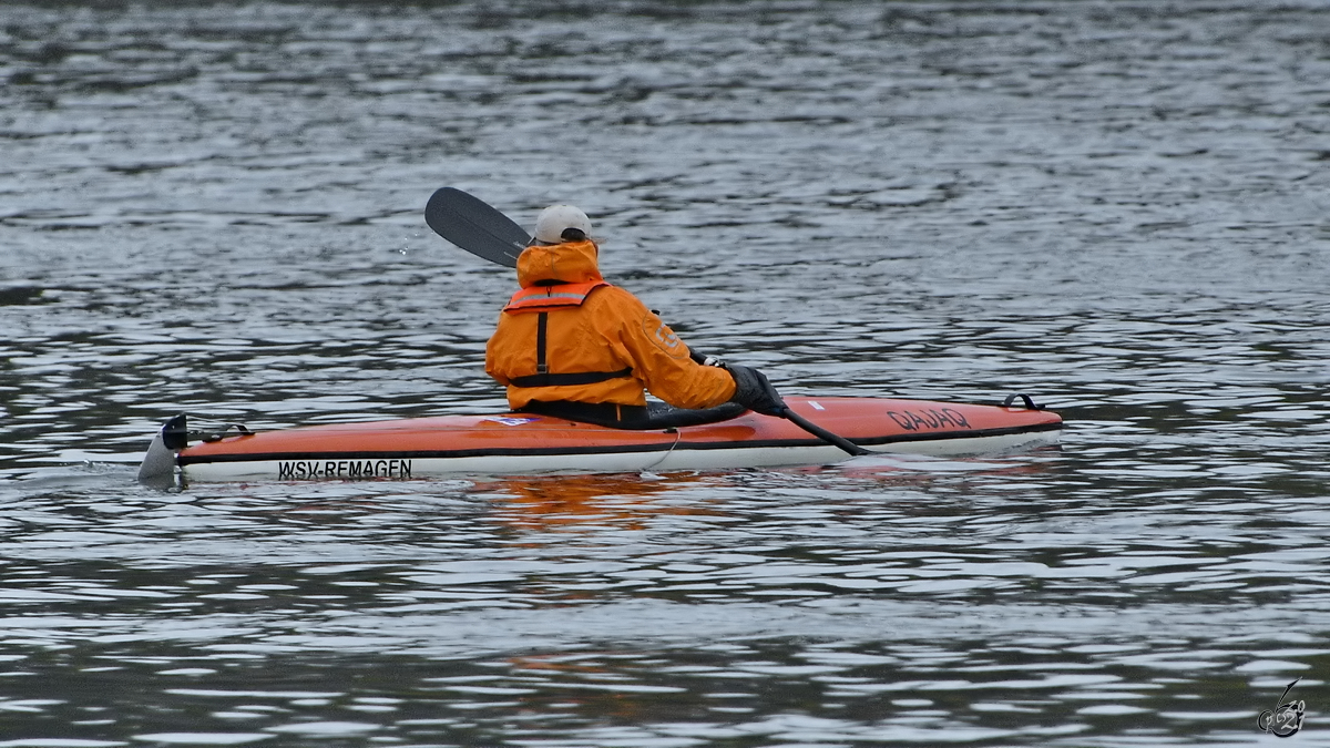 Mit dem QAJAK auf dem Rhein unterwegs. (Unkel, April 2021)