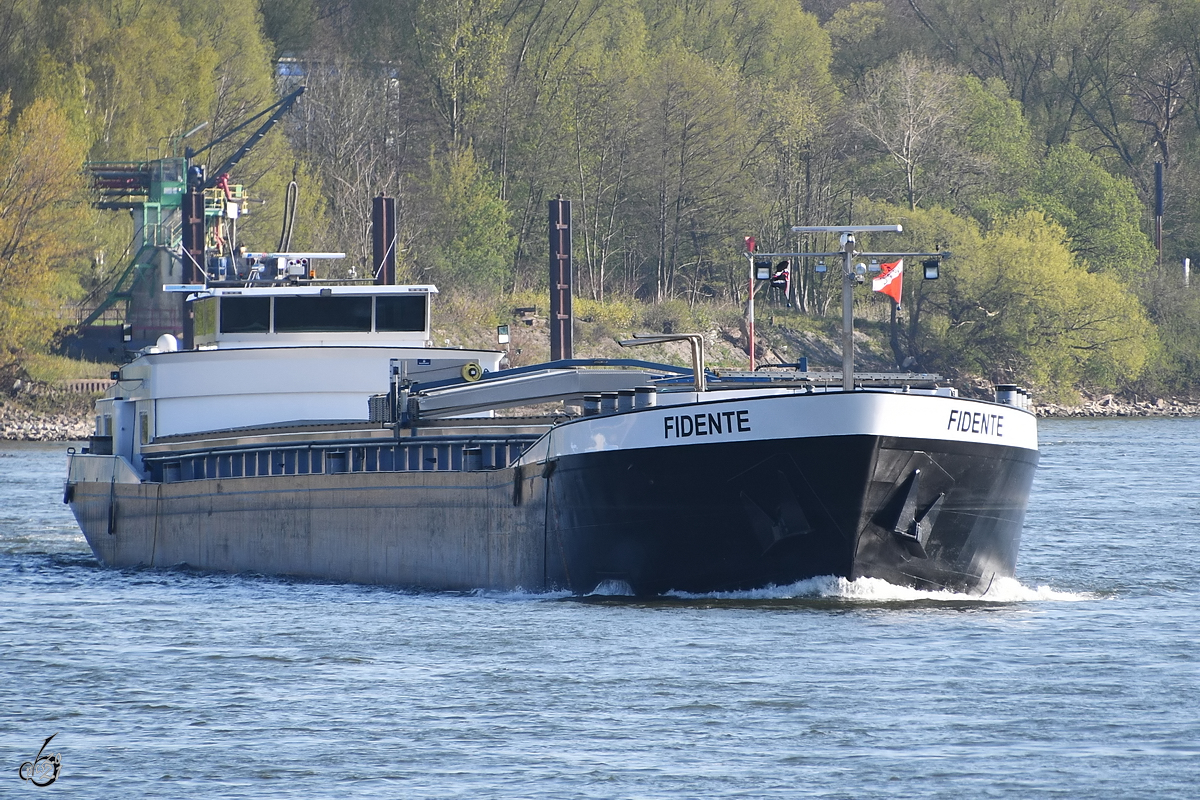 Mitte April 2021 war auf dem Rhein bei Duisburg das Gütermotorschiff FIDENTE (ENI: 02327351) zu sehen.
