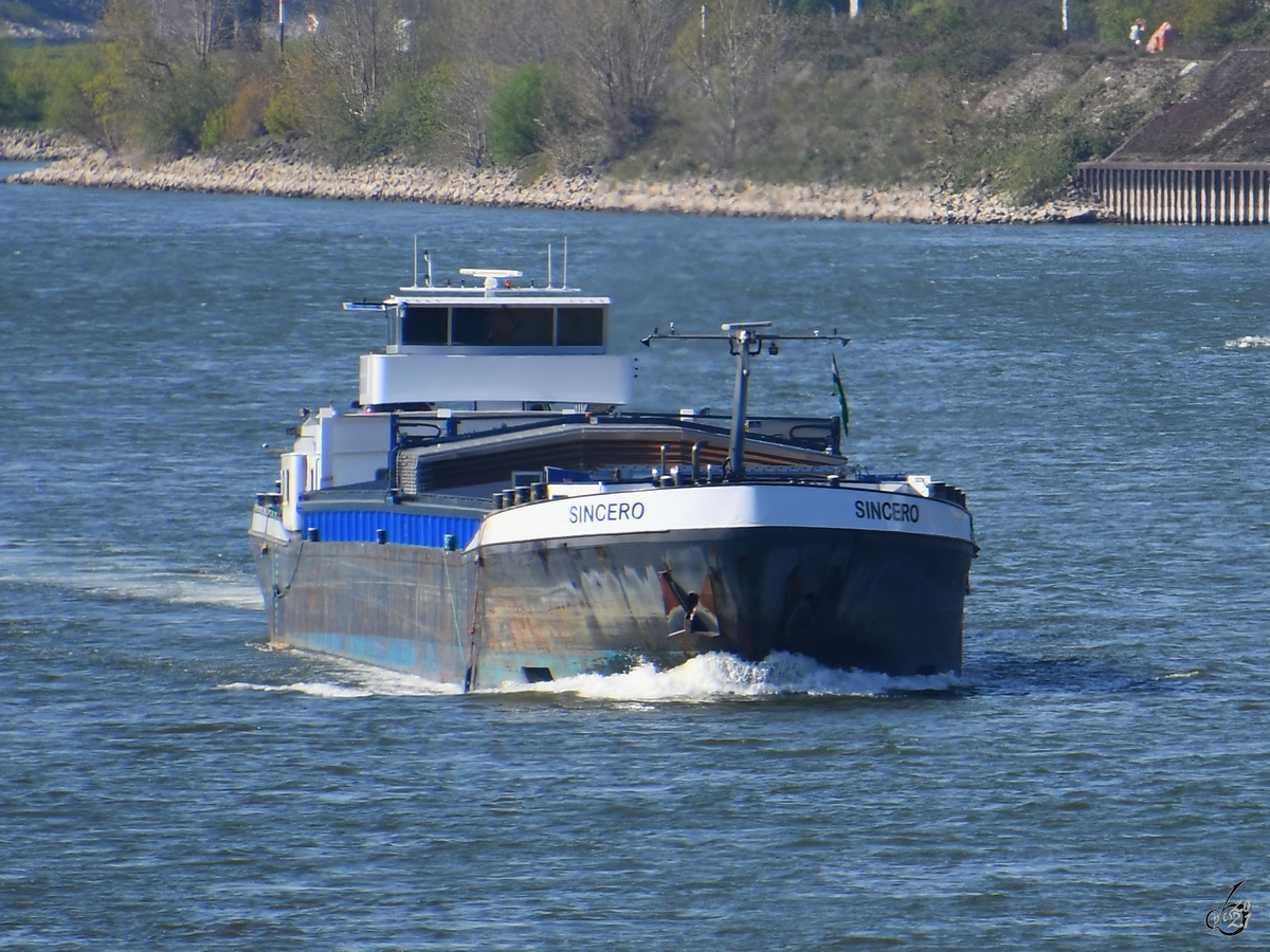 Mitte April 2021 war auf dem Rhein bei Duisburg das Gütermotorschiff SINCERO (ENI: 02315216) zu sehen.