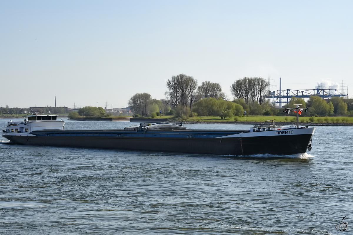 Mitte April 2021 war auf dem Rhein bei Duisburg das Gütermotorschiff FIDENTE (ENI: 02327351) zu sehen.