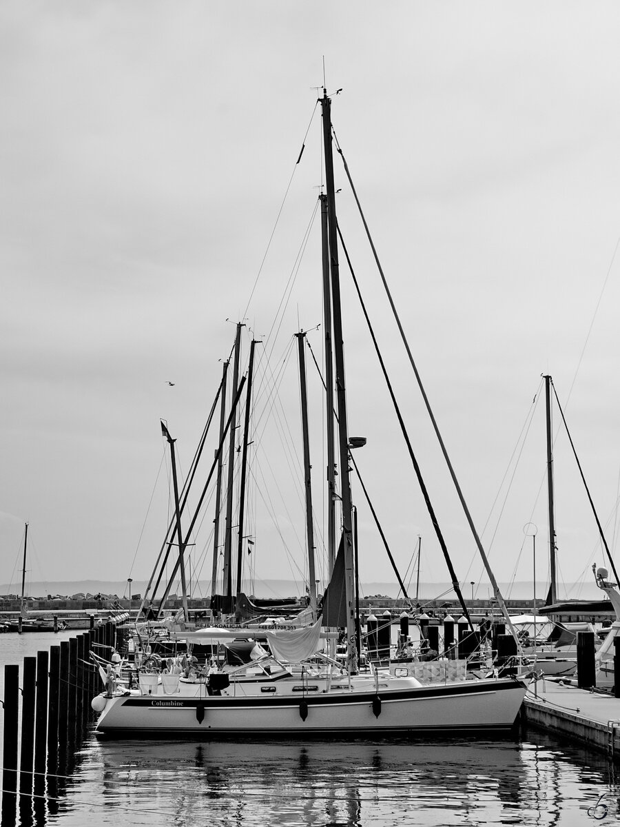 Mitte August 2023 war im Hafen Sassnitz das Segelboot COLIMBINE zu sehen.