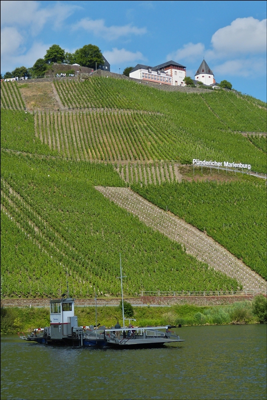 .Moselfähre Marienburg beim überqueren der Mosel mit der Marienburg im Hintergrund.  21.06.2014