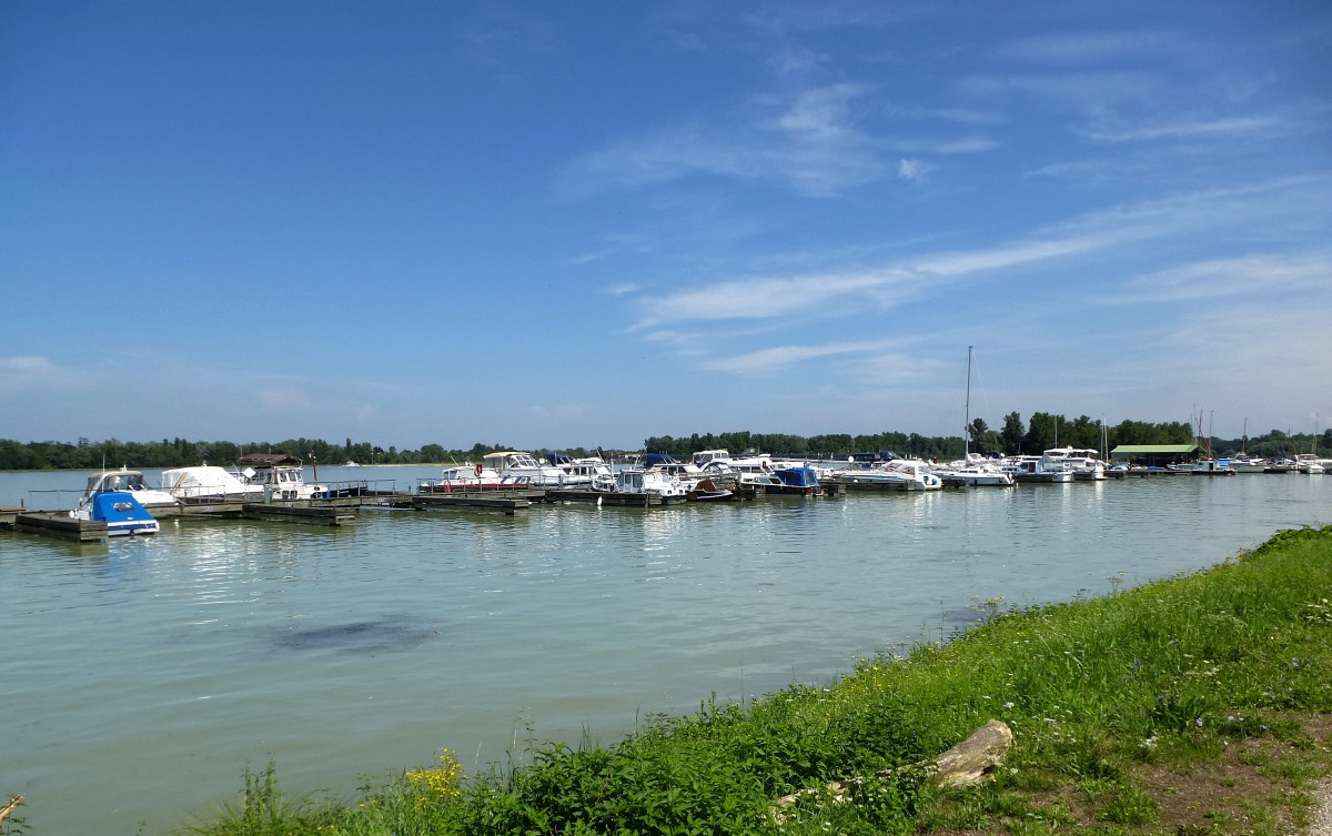 Motorboot-und Yachtclub Weisweil am Rhein bei Km 248, Aug.2014