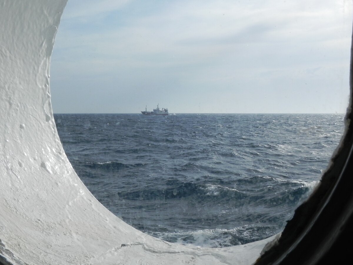 MS ALBATROS passiert am 09.09.2012 ein anderes Schiff. Beobachtet durch eine Klüse. 
Eine Klüse ist eine verstärkte Öffnung in der Bordwand, dem Schanzkleid oder dem Deck eines Bootes oder Schiffes zur Durchführung von Ketten, Leinen oder Trossen. Text: Wikipedia.

Da Hans und Jeanny glauben Flecken auf der Verglasung entdeckt zu haben, wird es sich vermutlich um ein Bullauge handeln.  In der Schifffahrt dienen Bullaugen als wasserdichte Seitenfenster in der Bordwand von Schiffen. Die Funktion der Bullaugen ist dabei dieselbe wie die von Fenstern in einem Gebäude: Sie dienen zum Einlass von Tageslicht oder zur Lüftung der einzelnen, unter Deck gelegenen Räumlichkeiten. Text: Wikipedia.

Die Informationen über die Klüse bleiben aber natürlich gültig.