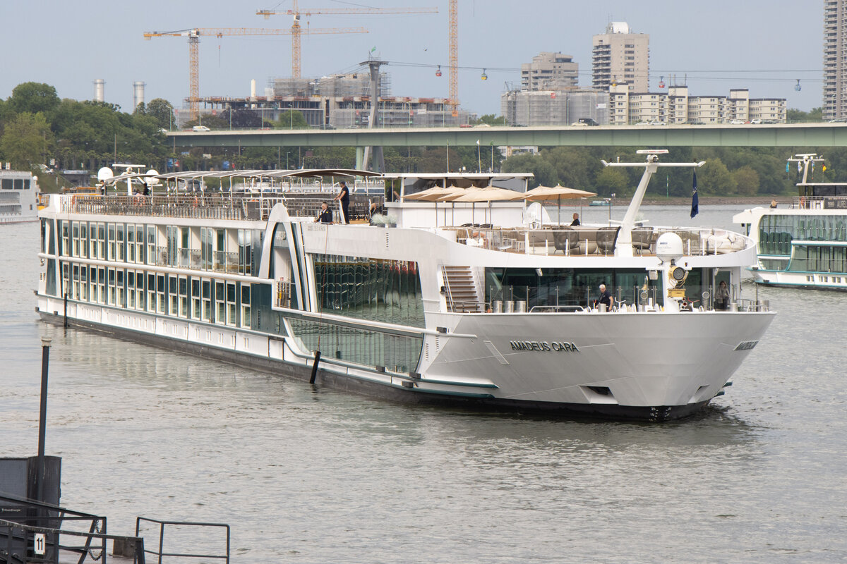 MS AMADEUS CARA (ENI: 02339509) auf dem Rhein in K�ln am 02.05.2026