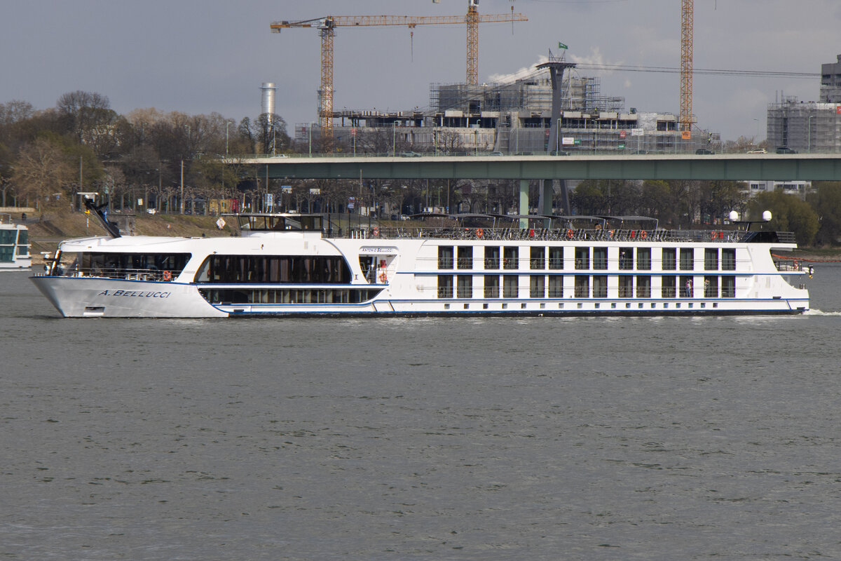 MS ANTONIO BELLUCCI (ENI: 02334599) in K�ln auf dem Rhein am 26.03.2026