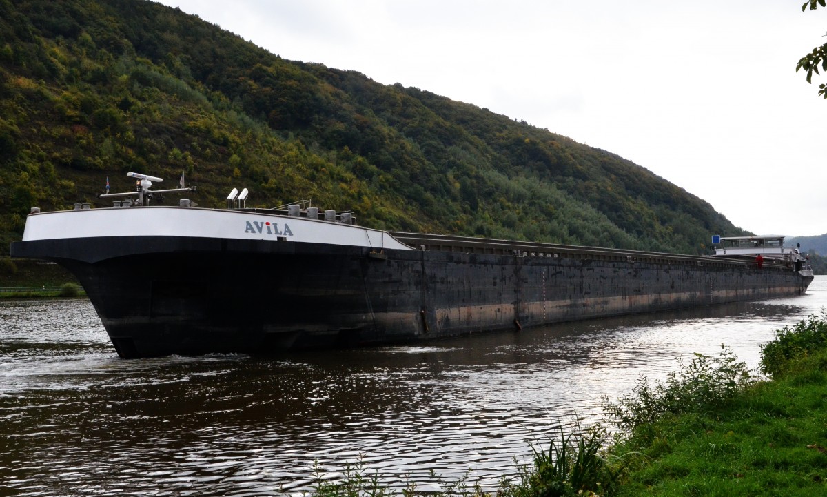 MS  AVILA,  ein Binnenfrachter auf der Mosel am 10.10.2013 bei Sankt Aldegund beobachtet.