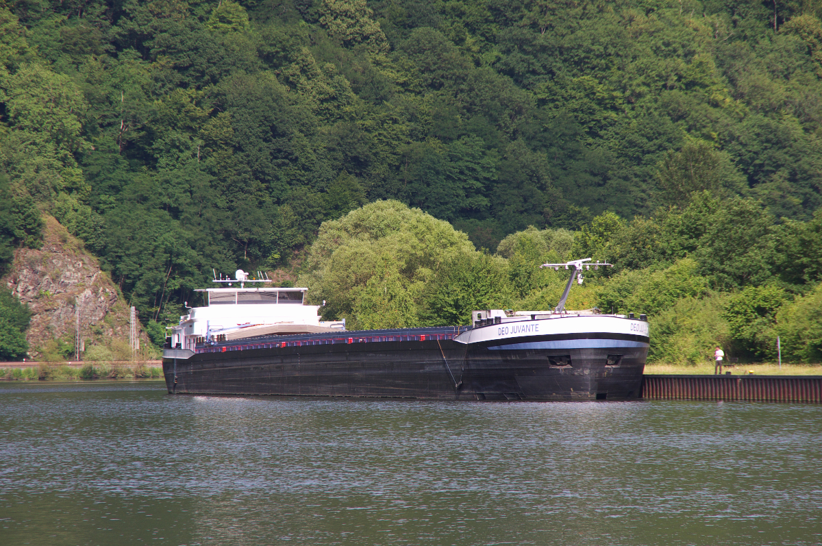 MS DEO JUVANTE vor Anker in Serrig an der Saar - 28.06.2015 - Europanummer	02330445 - Länge 135,00	m - Breite 11,45 m  - Tonnage 4229 t - Tiefgang 3,76 m	- Baujahr	2008 - Bauwerft Scheepswerf de Waal B.V., - Werkendam Eigner W. den Herder B.V., Dordrecht