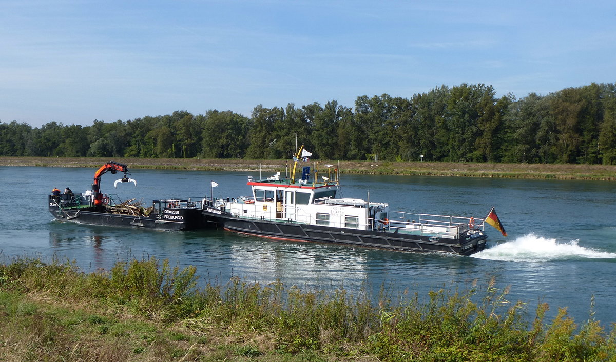 MS  Freiburg  mit Schubprahm  Freiburg D , beim Abtransport von eingesammelten Schwemmholz am Rhein bei Marckolsheim/Elsaß, Sept.2016