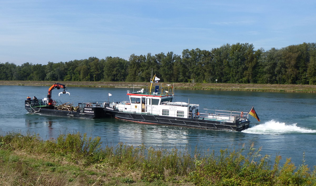 MS  Freiburg  mit Schubprahm  Freiburg D , beim Abtransport von eingesammelten Schwemmholz am Rhein bei Marckolsheim/Elsa, Sept.2016