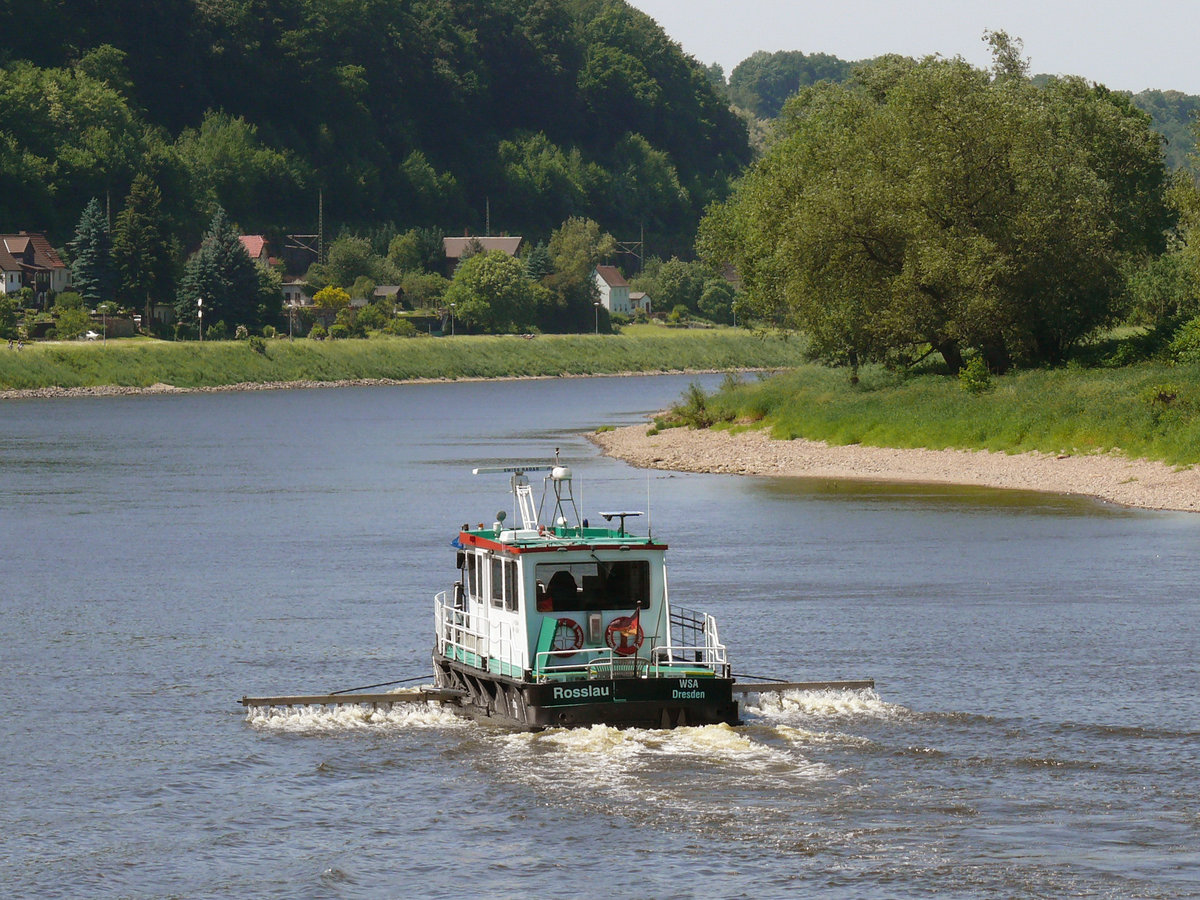 MS Rosslau, WSA Dresden die Elbe zu Tal bei der Arbeit: Vermessungsarbeiten / Flächenpeilung; zwischen Wehlen und Obervogelgesang; 26.05.2011
