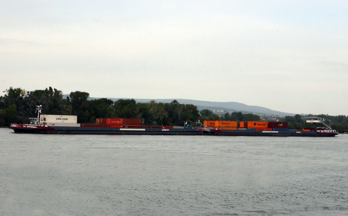 MS ST Antonius + ST Antonius II, ein Container-Schubverband bei Rdesheim auf dem Rhein am 28.09.2013.