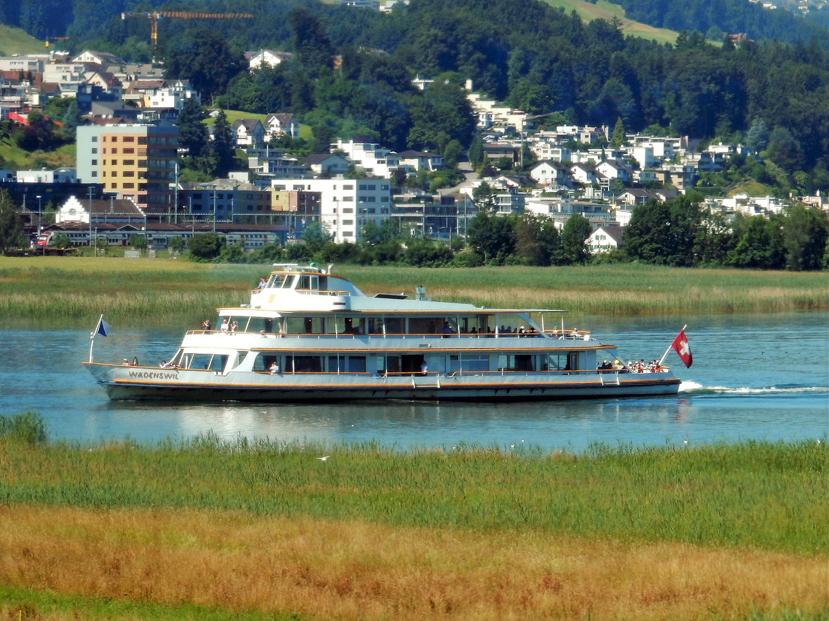 MS WÄDENSWIL hat Rapperswil verlassen und fährt in Richtung Obersee. Baujahr 1968. Eigner: Zürichsee-Schifffahrtsgesellschaft - 23.06.2016