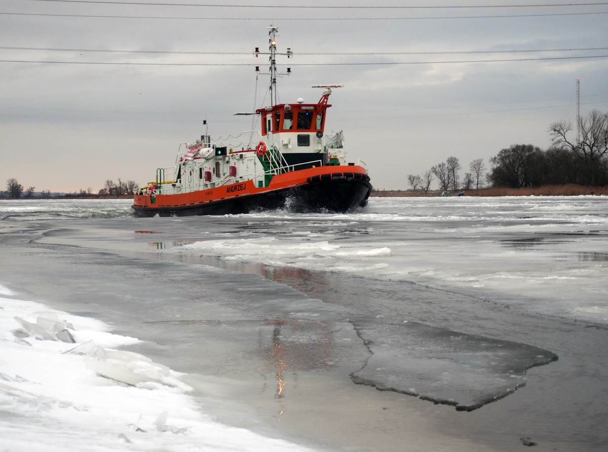 MS ANDZEJ der zweite neue Odereisbrecher aus Stettin beim Eisaufbruch in der Nähe von Widuchowa.Foto 08.01.2016